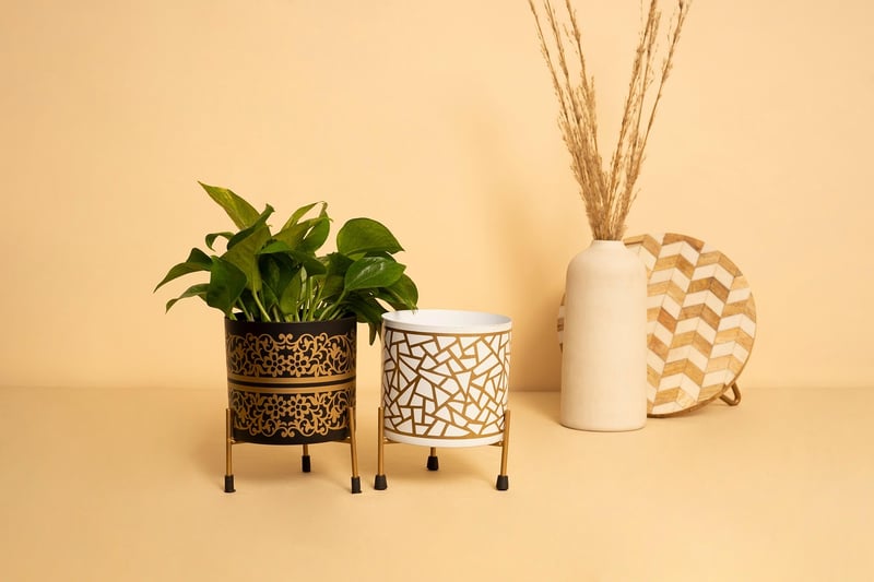 Shoe Organizer Planters
