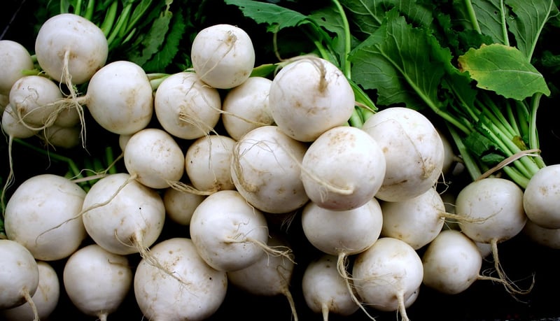 Turnips